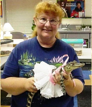 Alligator at an event