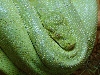 MB