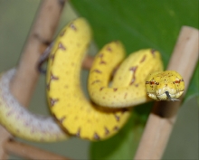GTP-Baby#6-01