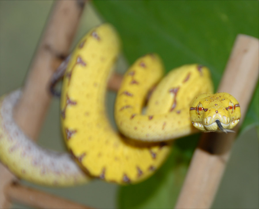 GTP-Baby#6-01
