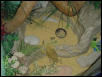 dragon in his viv