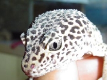 close up
