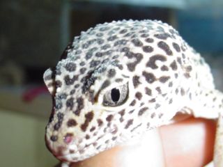 close up