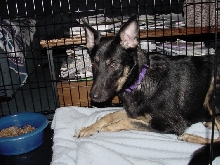 Ruby 8/23/05