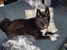 Taz August 2005