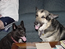 Jim & Taz
