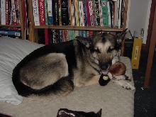 Jimmy w/ducky