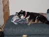 Lady on chaise lounge