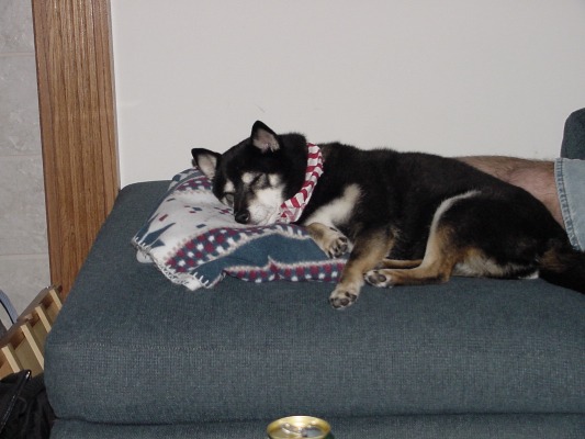 Lady on chaise lounge