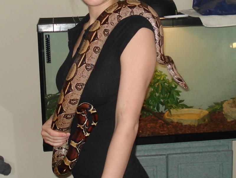 2 year old Guyana Female