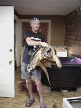 Alligator Snapping Turtle