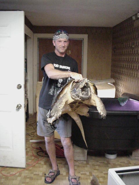 Alligator Snapping Turtle