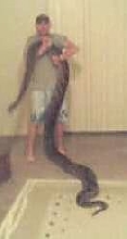 Worm.
