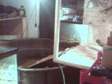 Caiman enclosure