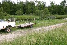 Eastern Massasauga Habitat