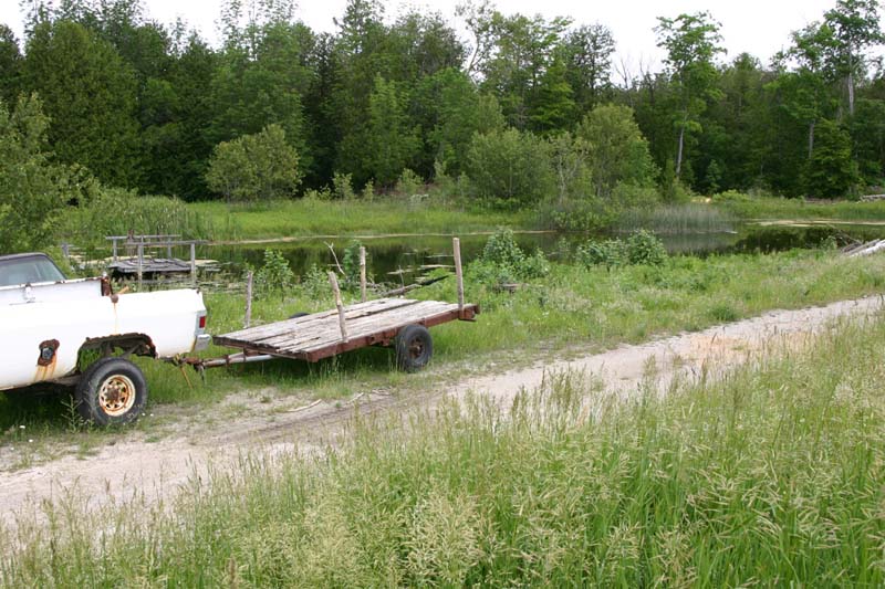 Eastern Massasauga Habitat