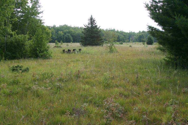 Massasauga Habitat