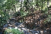 Riparian Habitat