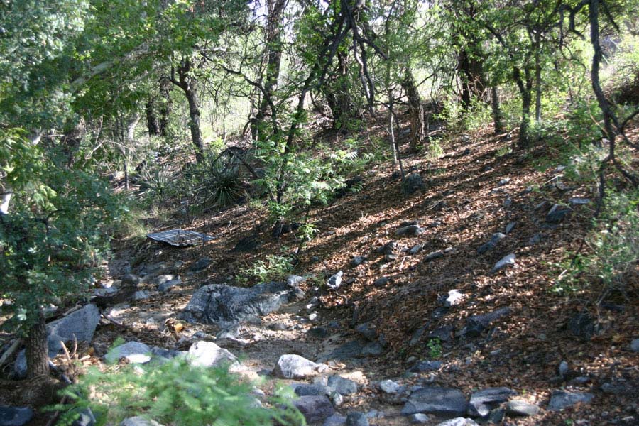 Riparian Habitat