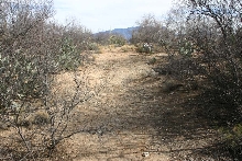 High Desert Wash