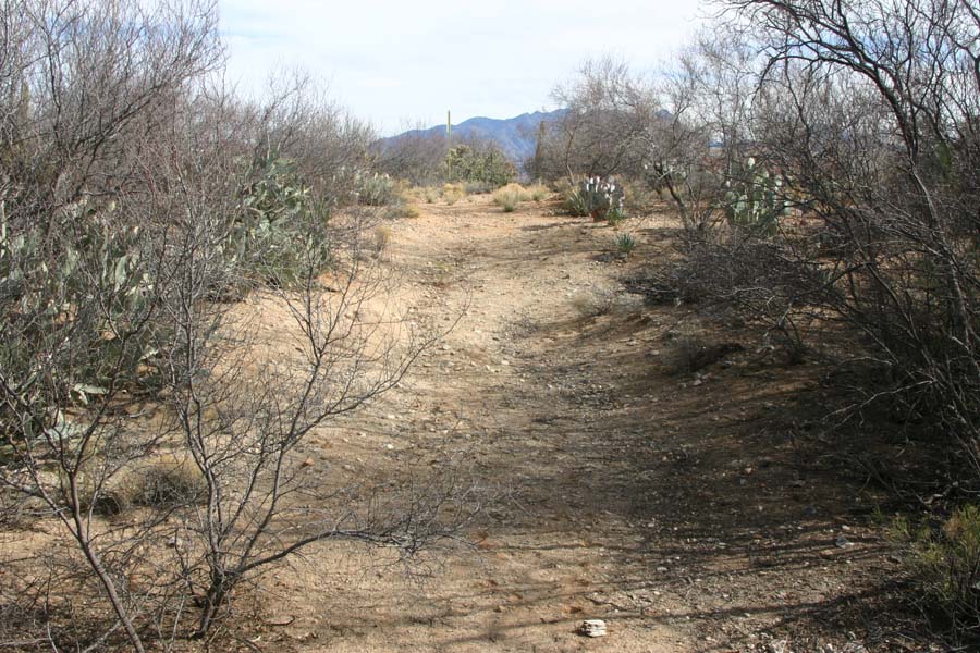 High Desert Wash