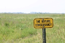 The Nature Conservancy Sign