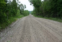 Massasauga Habitat