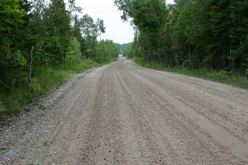 Massasauga Habitat