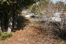 Beaver Pond Creek Trail