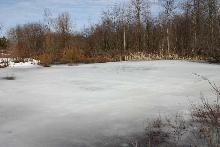 Big Pond