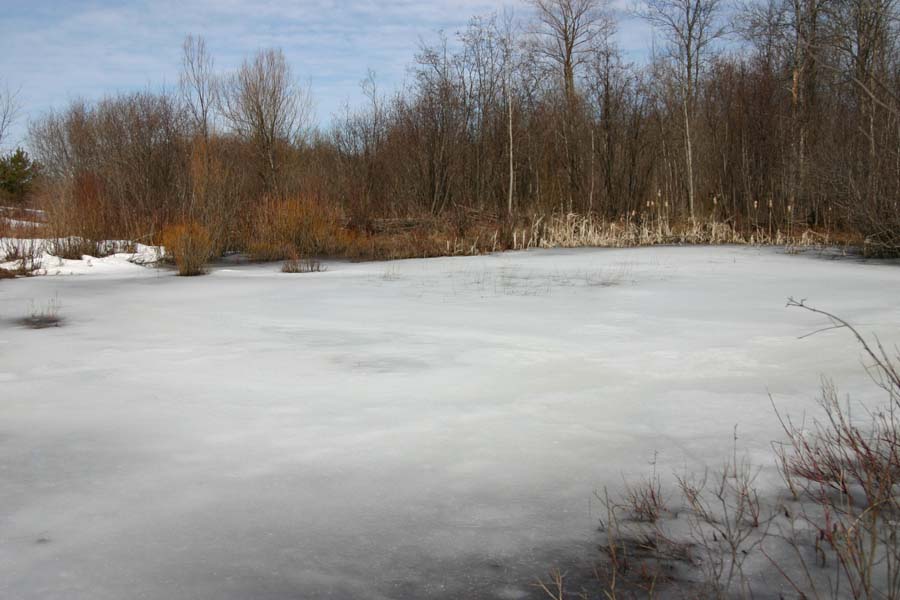 Big Pond