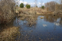 Big Pond
