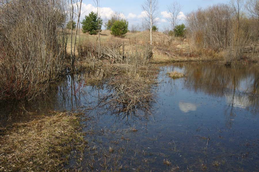 Big Pond