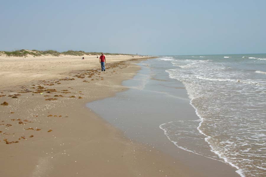 Toby and the  Beach