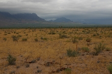 Desert Massasauga Habitat