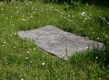 Cover Boards