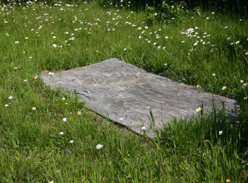 Cover Boards