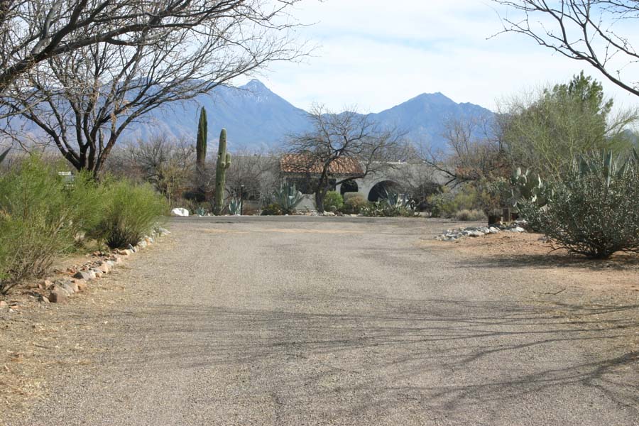 Driveway and Mountains