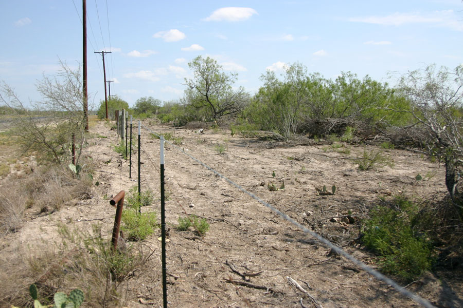 Brush Country Habitat