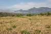 Santa Rita Mtn. View