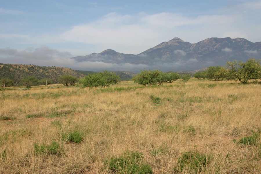 Santa Rita Mtn. View