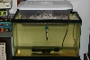 Incubation Tank