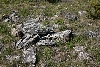 Limestone Rocks