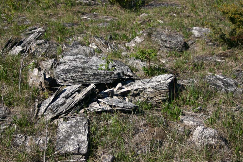 Limestone Rocks