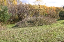 Little Hill '07