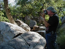 Madera Canyon