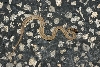 Marsh Brown Snake