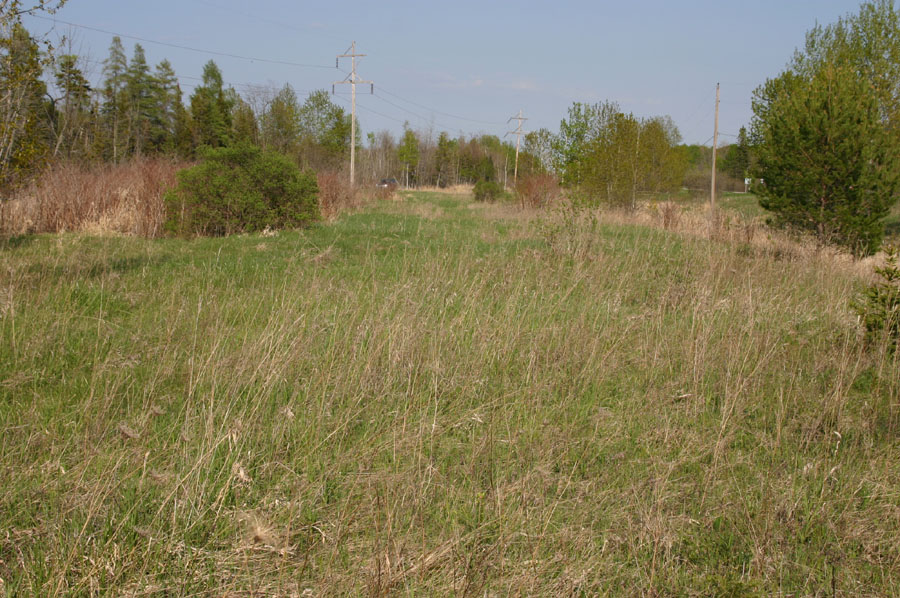 Eastern Massasauga Habitat