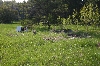 Eastern Massasauga Habitat