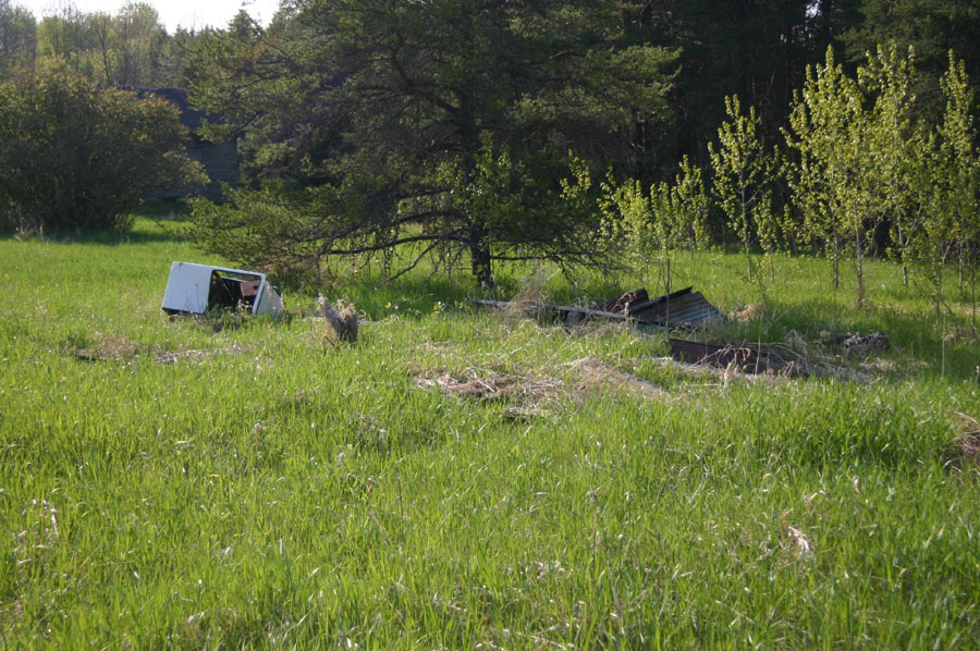 Eastern Massasauga Habitat